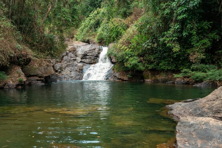 A,Peaceful,Jungle,Waterfall,Flowing,Into,A,Clear,Pool,Along