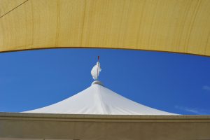 DSC_0470-300x200